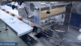 辣椒醬料包裝機(jī)械 液體自動計量包裝機(jī)械設(shè)備
