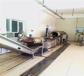 江蘇薯?xiàng)l燃?xì)饧訜嵊驼魉€ 國(guó)邦食品機(jī)械
